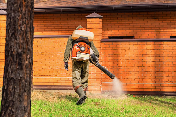 Bed Bug Clearance Verification and Documentation in Larksville